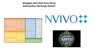 Mengapa Jasa Olah Data Nvivo Kebanyakan Berharga Mahal