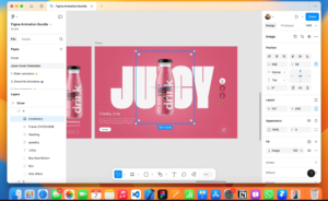 Portofolio Figma
