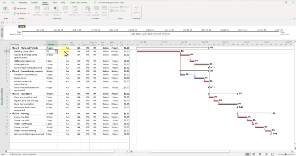 Portofolio Microsoft Project